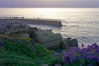 Childrens Pool - La Jolla, California